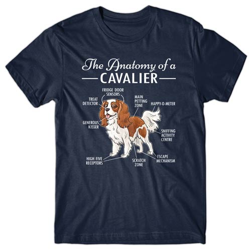 Anatomy of a Cavalier T-shirt