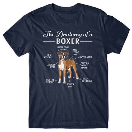 Anatomy of a Boxer T-shirt