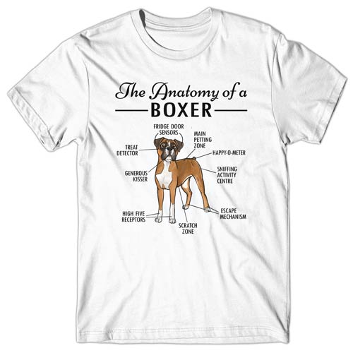 Anatomy of a Boxer T-shirt