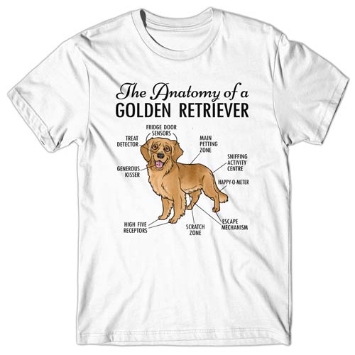Anatomy of a Golden Retriever T-shirt