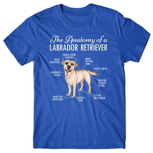 Anatomy of a Labrador Retriever T-shirt