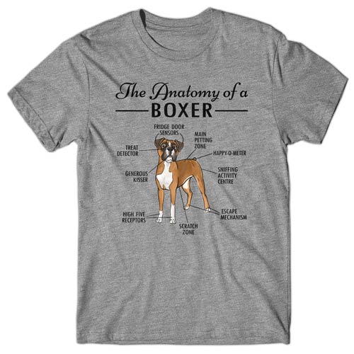 Anatomy of a Boxer T-shirt