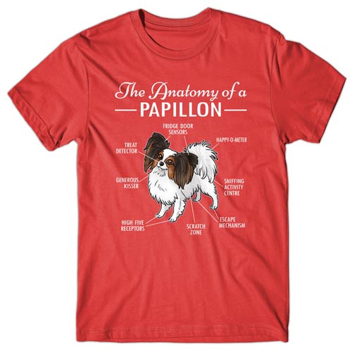 Anatomy of a Papillon T-shirt