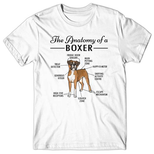 Anatomy of a Boxer T-shirt