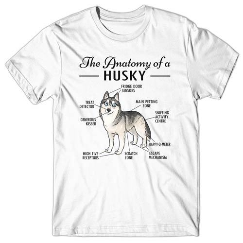 Anatomy of a Husky T-shirt